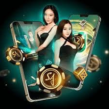 Dragon Tiger live deal Dragon Tiger card dealing